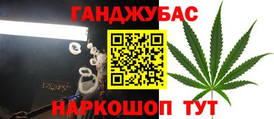 дживик Можга
